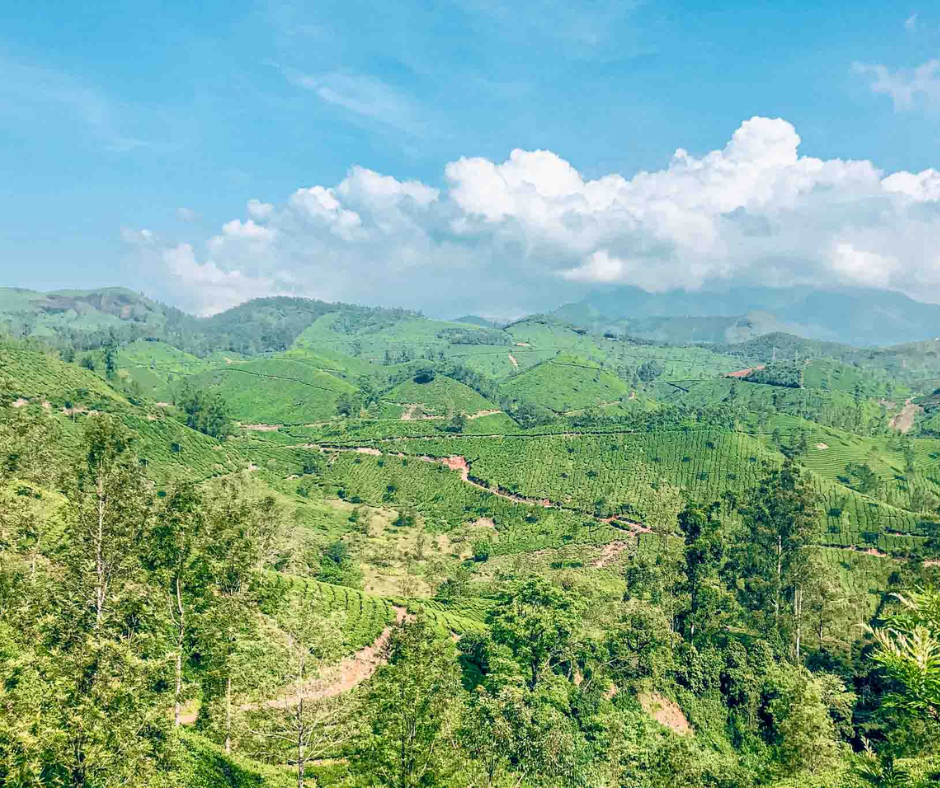 Kerala Tour Packages